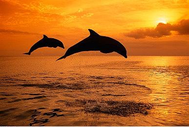 《非生物因素》新更新Crush Depth上线 好评合作生存